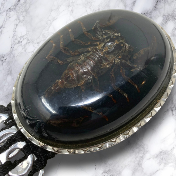 Vtg Walleska Ecochicc Waist Belt Lucite Scorpion Buckle Upcycled Soda Tab 44\